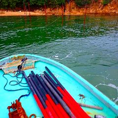 13位のイメージ