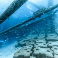 14位のイメージ