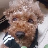 96位のイメージ