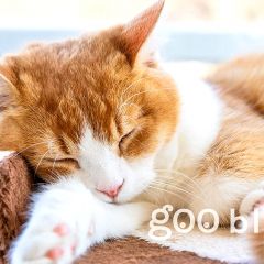 15位のイメージ