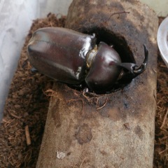 17位のイメージ