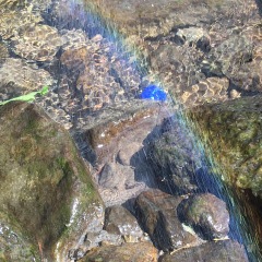 11位のイメージ