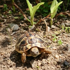100位のイメージ