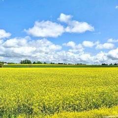 12位のイメージ