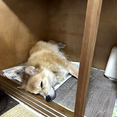 11位のイメージ