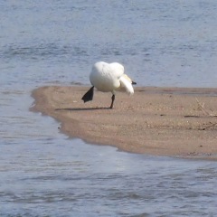12位のイメージ