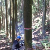 30位のイメージ