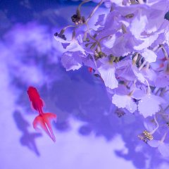 22位のイメージ