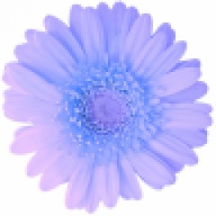 97位のイメージ