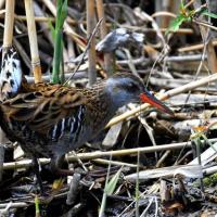 134位のイメージ