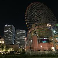 41位のイメージ