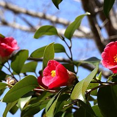 22位のイメージ