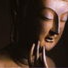 41位のイメージ