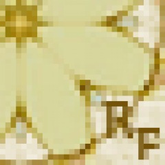 15位のイメージ