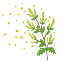 76位のイメージ