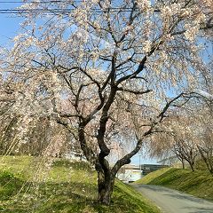 38位のイメージ