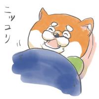 4911位のイメージ