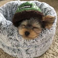 33位のイメージ