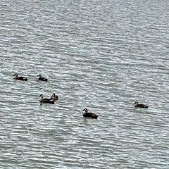 138位のイメージ