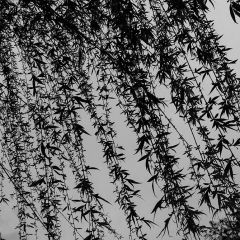 138位のイメージ