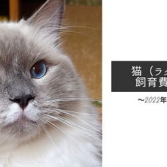 20位のイメージ