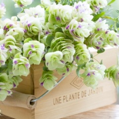 46位のイメージ