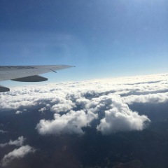 25位のイメージ