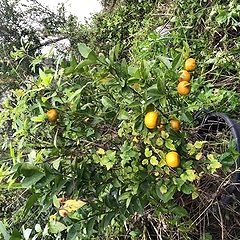 82位のイメージ