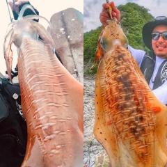 30位のイメージ