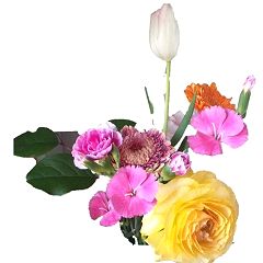 55位のイメージ