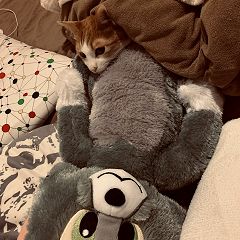 22位のイメージ