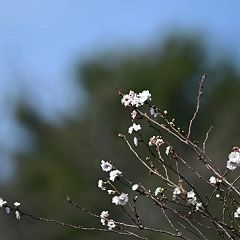 22位のイメージ