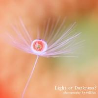 97位のイメージ