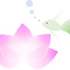 71位のイメージ