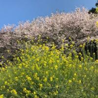 43位のイメージ