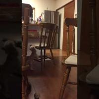 20位のイメージ