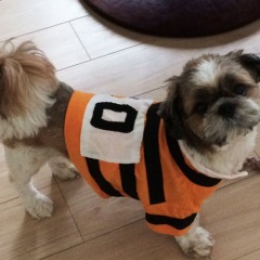 747位のイメージ