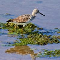 137位のイメージ