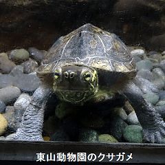 21位のイメージ