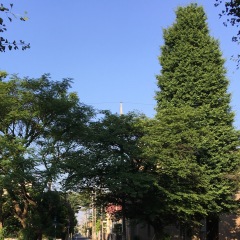 23位のイメージ