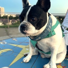 18位のイメージ