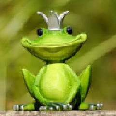 10位のイメージ