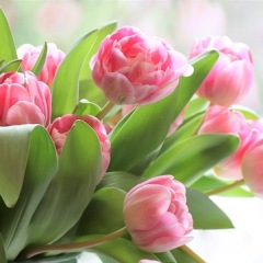 127位のイメージ