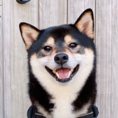 99位のイメージ