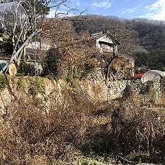 73位のイメージ