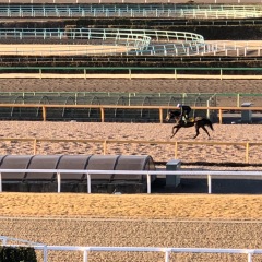 14位のイメージ