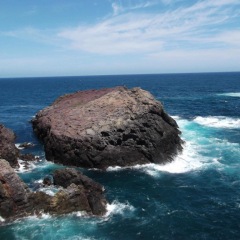 137位のイメージ