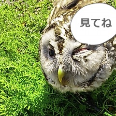 83位のイメージ