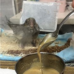 96位のイメージ