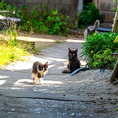 15位のイメージ